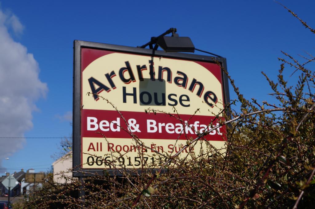 Bed and Breakfast Ardrinane House à Anascaul Extérieur photo