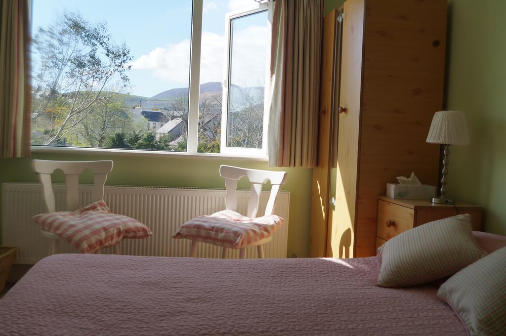 Bed and Breakfast Ardrinane House à Anascaul Extérieur photo
