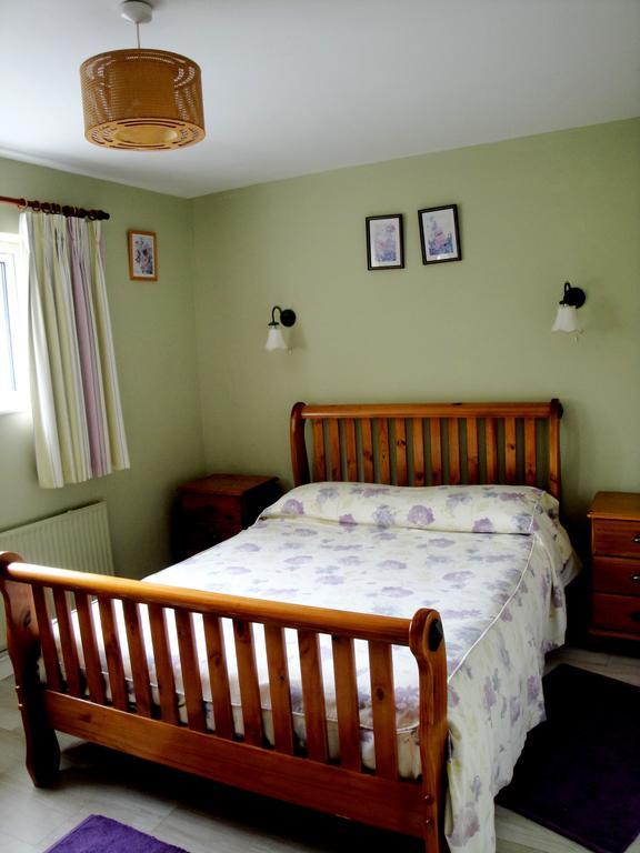 Bed and Breakfast Ardrinane House à Anascaul Extérieur photo
